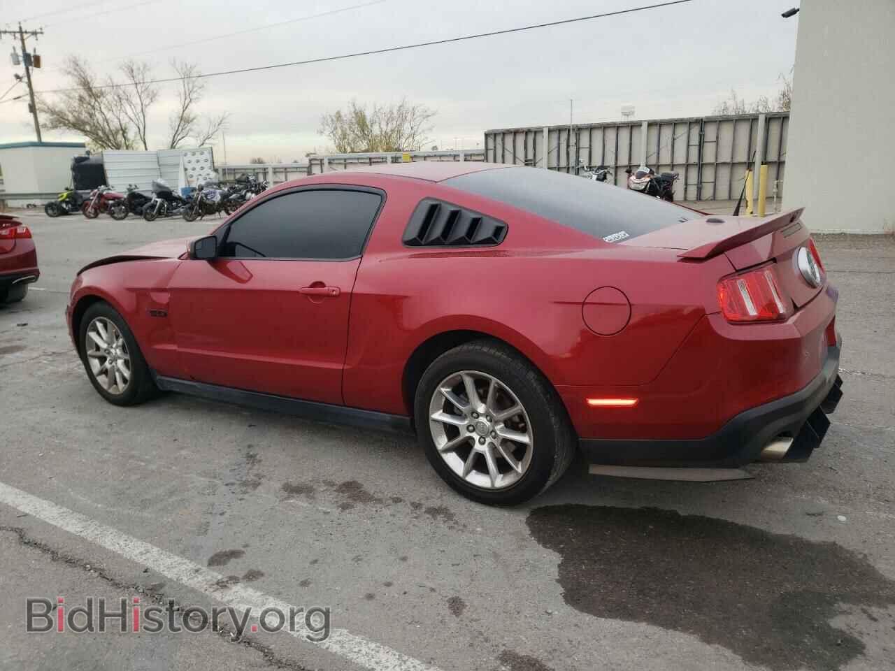 2011 FORD MUSTANG - VIN: 1ZVBP8CF4B5155981 - Фото 2