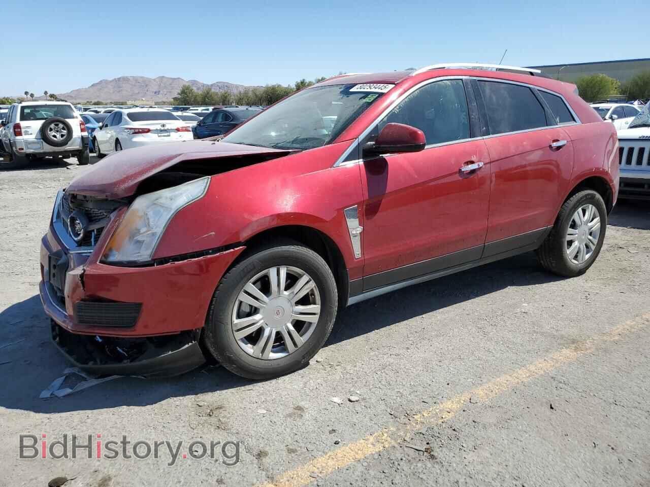 Photo 3GYFNAEY9BS613532 - CADILLAC SRX 2011