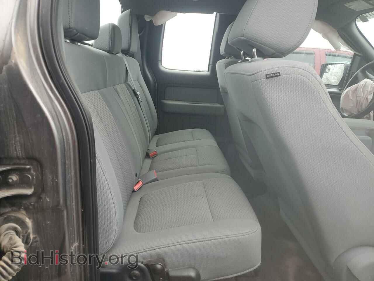 2013 FORD F-150 - VIN: 1FTFX1EF5DFC19001 - Фото 10