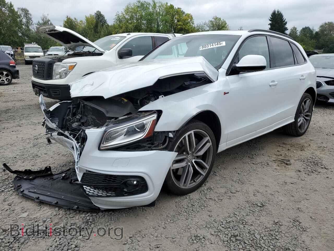 Photo WA1CGAFP8FA115655 - AUDI SQ5 2015