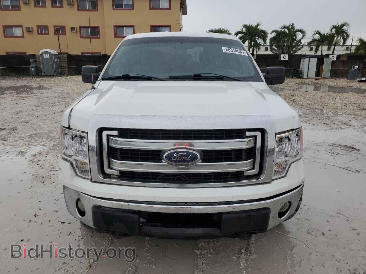 2013 FORD F-150 - VIN: 1FTFX1EF0DFC77758 - Фото 5