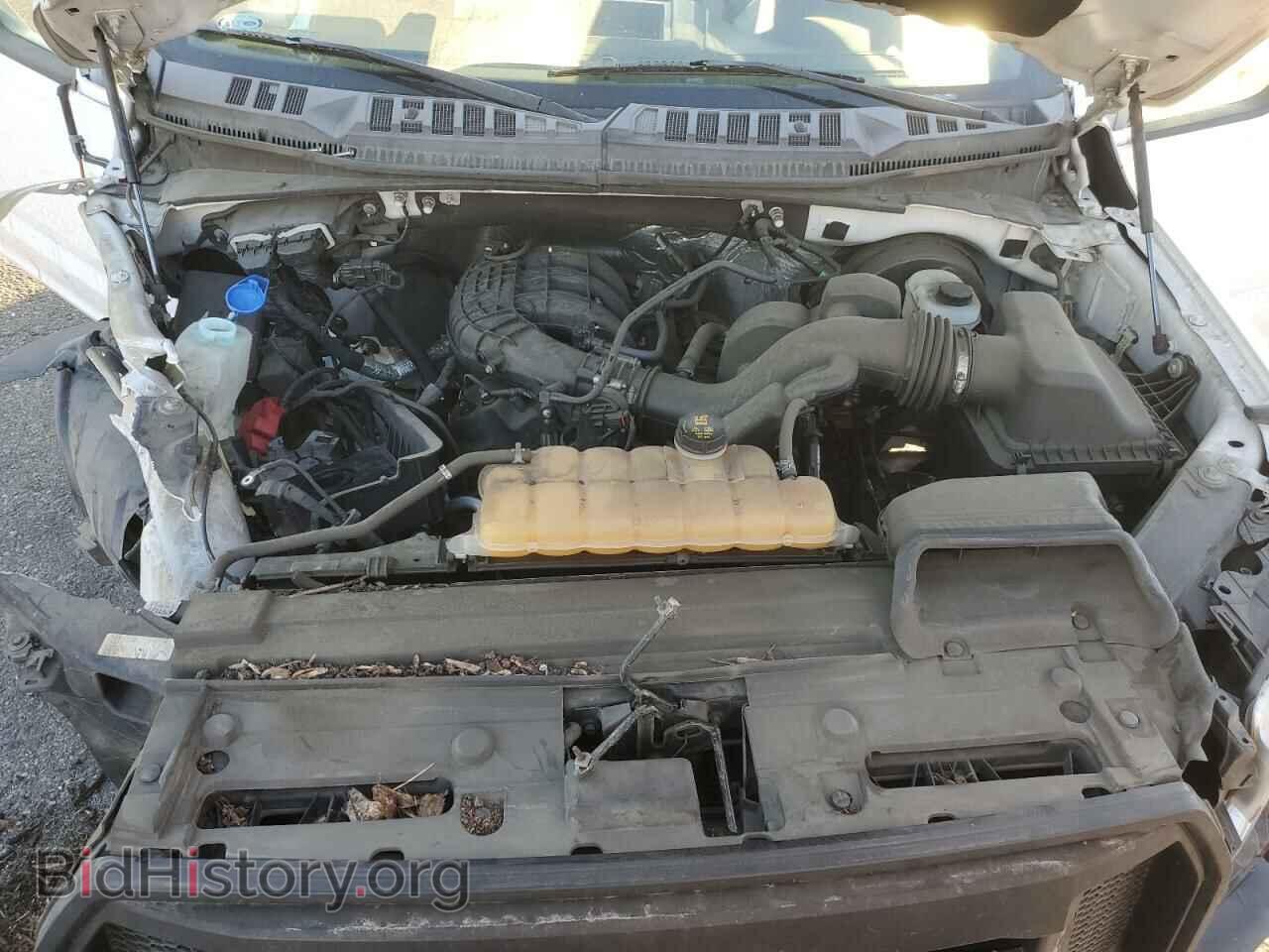 2016 FORD All Models - VIN: 1FTMF1C82GKD17445 - Фото 11