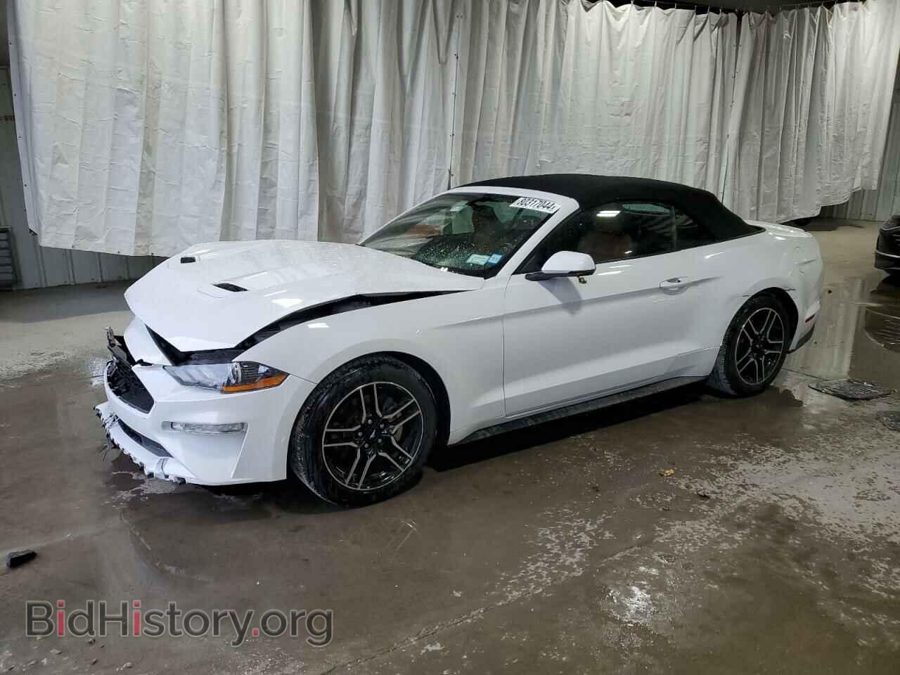 Фотография 1FATP8UH9K5153303 - FORD ALL Models 2019