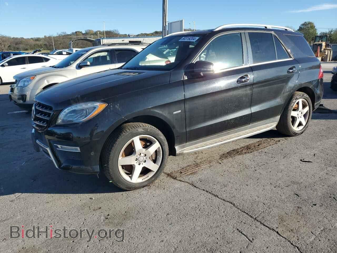 Photo 4JGDA7DB3CA090841 - MERCEDES-BENZ M-CLASS 2012