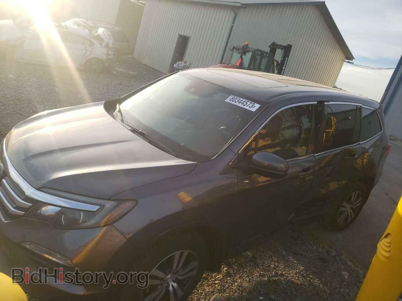Photo 5FNYF5H64HB017761 - HONDA PILOT 2017