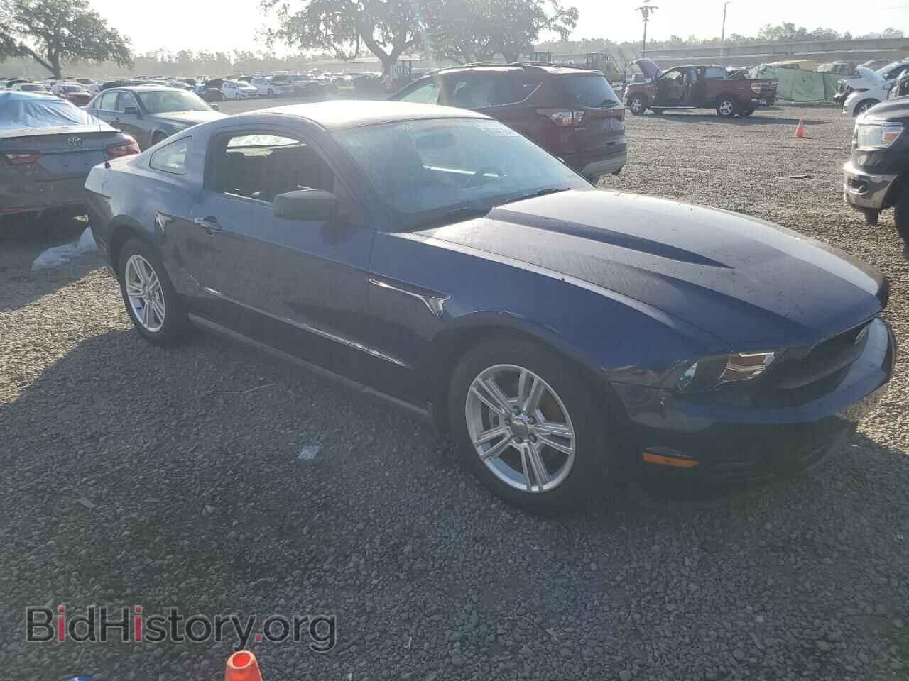 2010 FORD ALL Models - VIN: 1ZVBP8AN6A5117578 - Фото 4