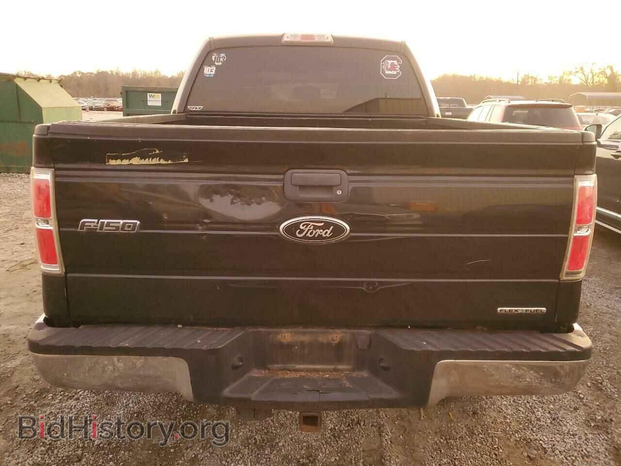 2013 FORD F-150 - VIN: 1FTFW1EF3DFB92402 - Фото 6