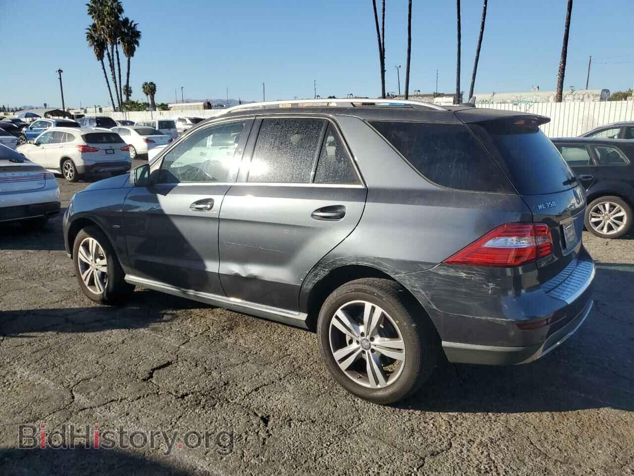 2012 MERCEDES-BENZ M-CLASS - VIN: 4JGDA5HB2CA032833 - Фото 2