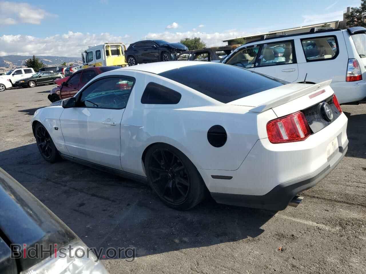 2011 FORD ALL Models - VIN: 1ZVBP8AM3B5169534 - Фото 2