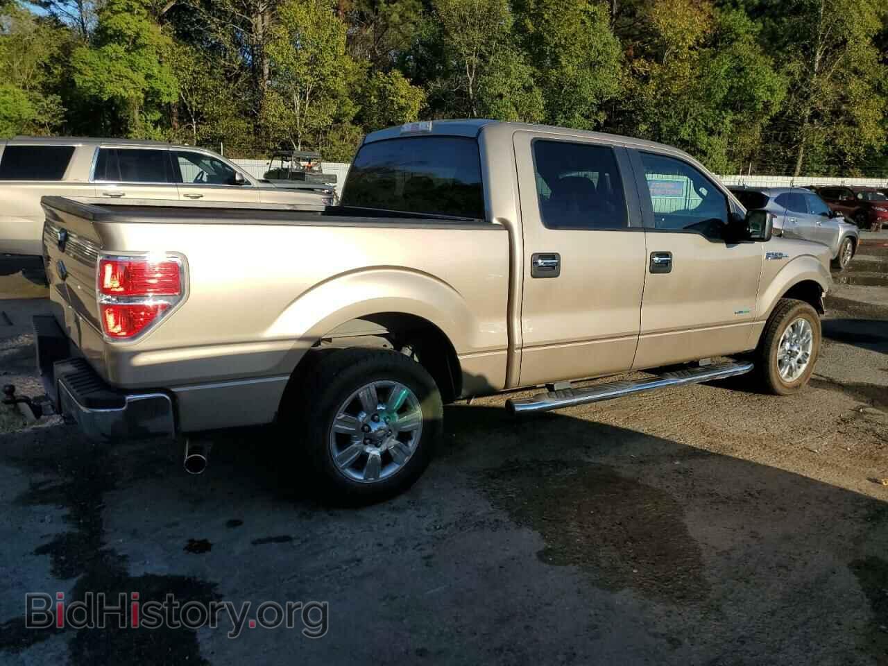 2011 FORD F-150 - VIN: 1FTFW1CT2BFB20970 - Фото 3