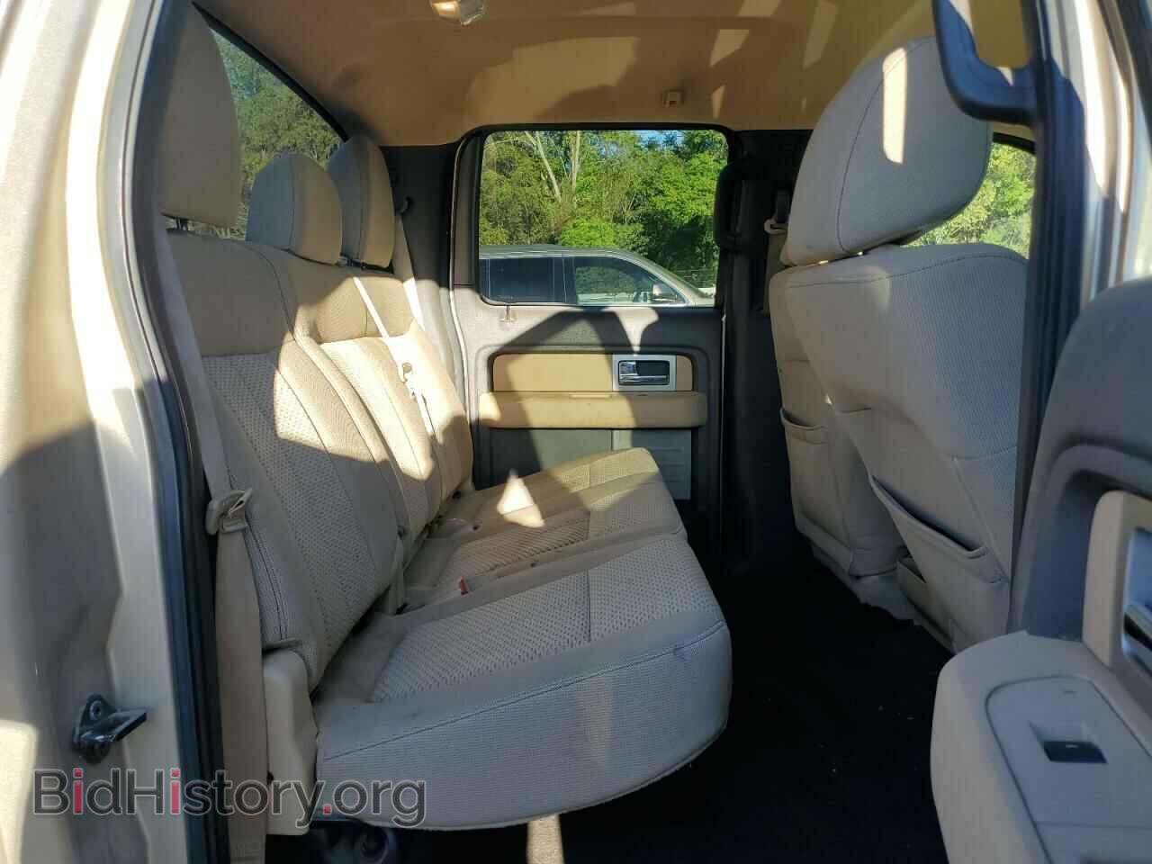 2011 FORD F-150 - VIN: 1FTFW1CT2BFB20970 - Фото 10