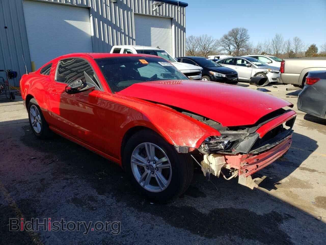 2014 FORD ALL Models - VIN: 1ZVBP8AM5E5297181 - Фото 4