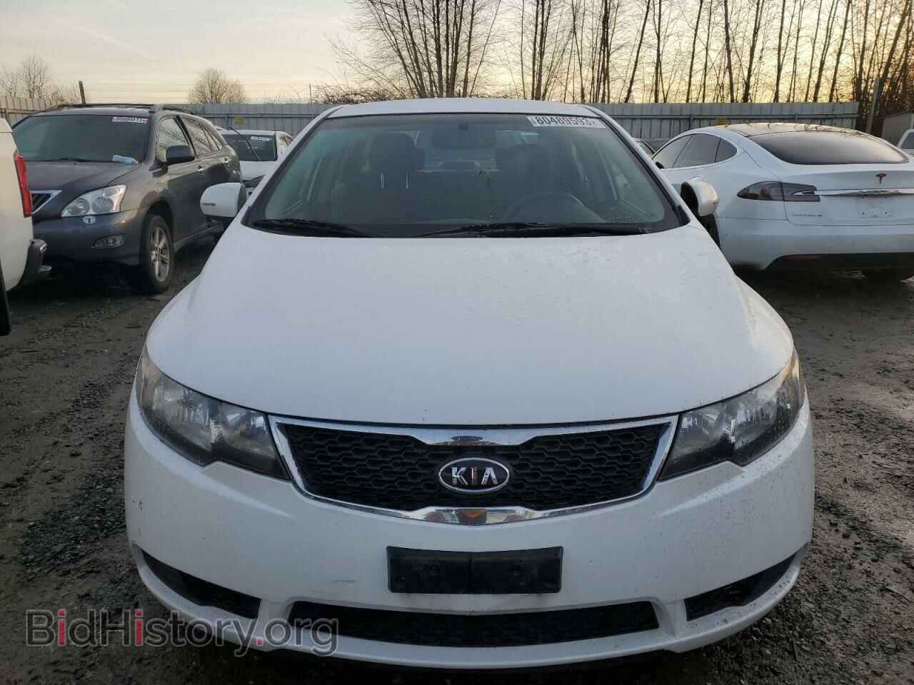 2012 KIA FORTE - VIN: KNAFU4A2XC5481420 - Фото 5