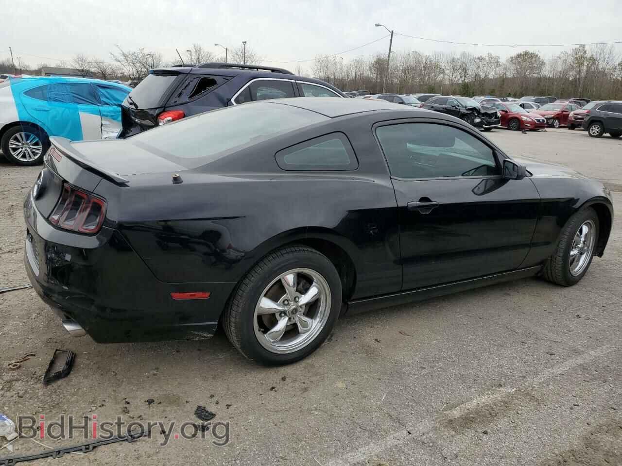 2013 FORD ALL Models - VIN: 1ZVBP8AM7D5207785 - Фото 3