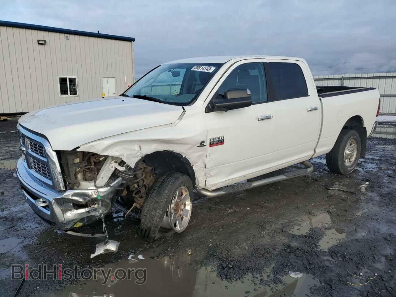 Photo 3D7UT2CL0BG528023 - DODGE All Models 2011