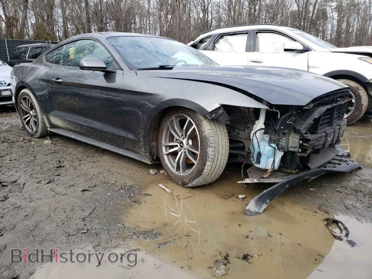 2017 FORD ALL Models - VIN: 1FA6P8TH0H5262417 - Фото 4
