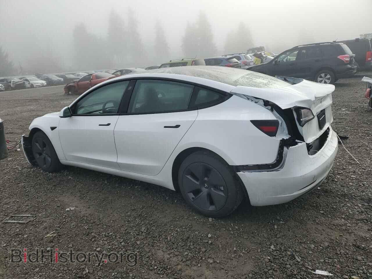 2023 TESLA MODEL 3 - VIN: 5YJ3E1EA0PF686476 - Photo 2