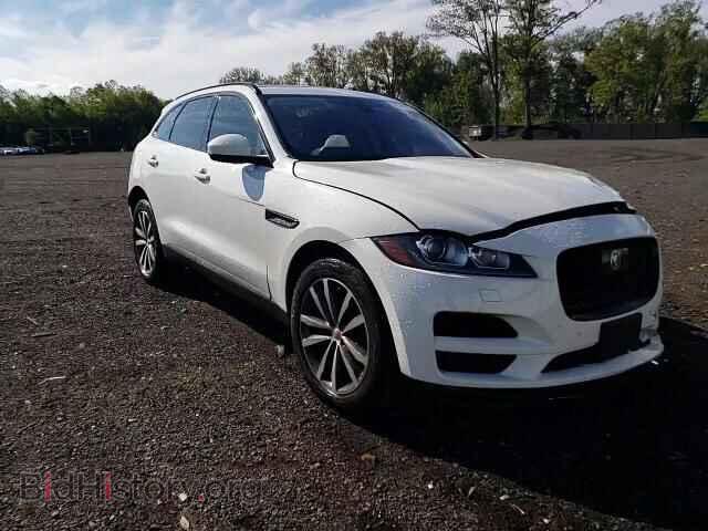 2019 JAGUAR F-PACE - VIN: SADCK2FX7KA353473 - Photo 14
