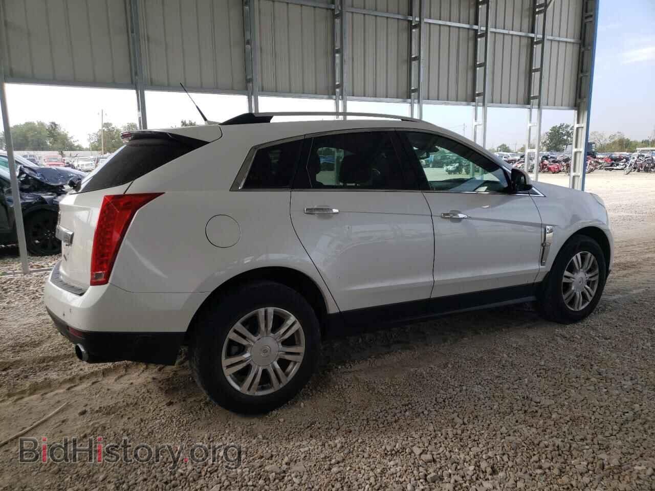 2011 CADILLAC SRX - VIN: 3GYFNDEY0BS522876 - Фото 3