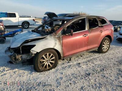 2010 Mazda CX-7, красный — VIN JM3ER2W50A0348044, Copart