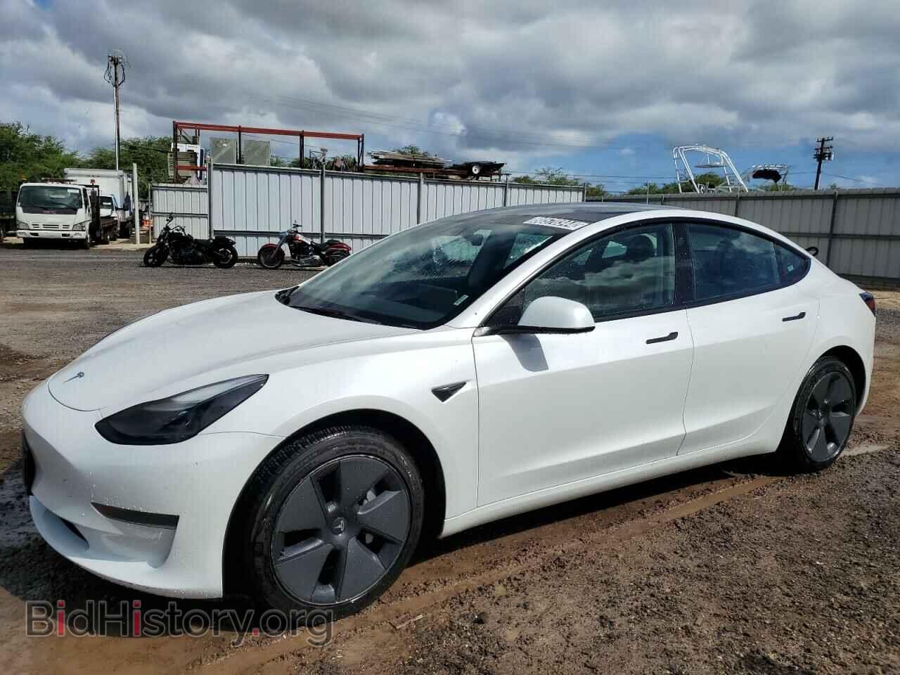Photo 5YJ3E1EA0PF427440 - TESLA MODEL 3 2023
