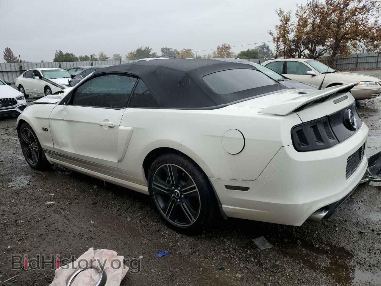 2013 FORD MUSTANG - VIN: 1ZVBP8FF8D5241602 - Фото 2