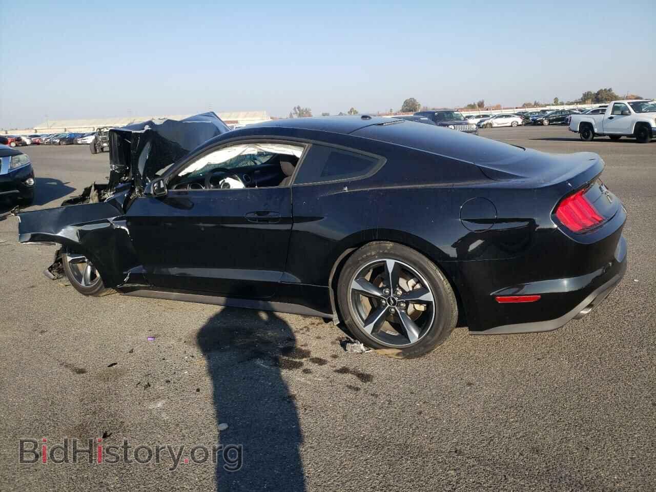 2019 FORD ALL Models - VIN: 1FA6P8THXK5163675 - Фото 2