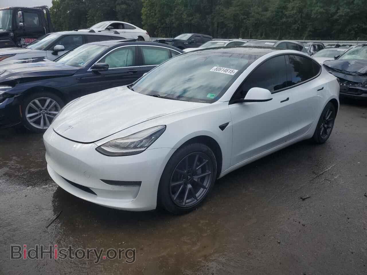 Photo 5YJ3E1EA3MF853683 - TESLA MODEL 3 2021