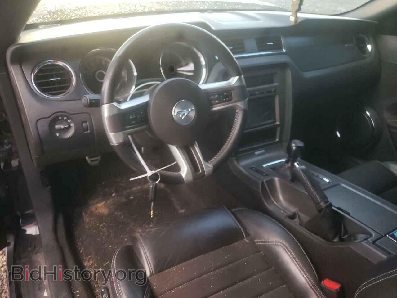 2013 FORD MUSTANG - VIN: 1ZVBP8CF1D5260125 - Фото 8