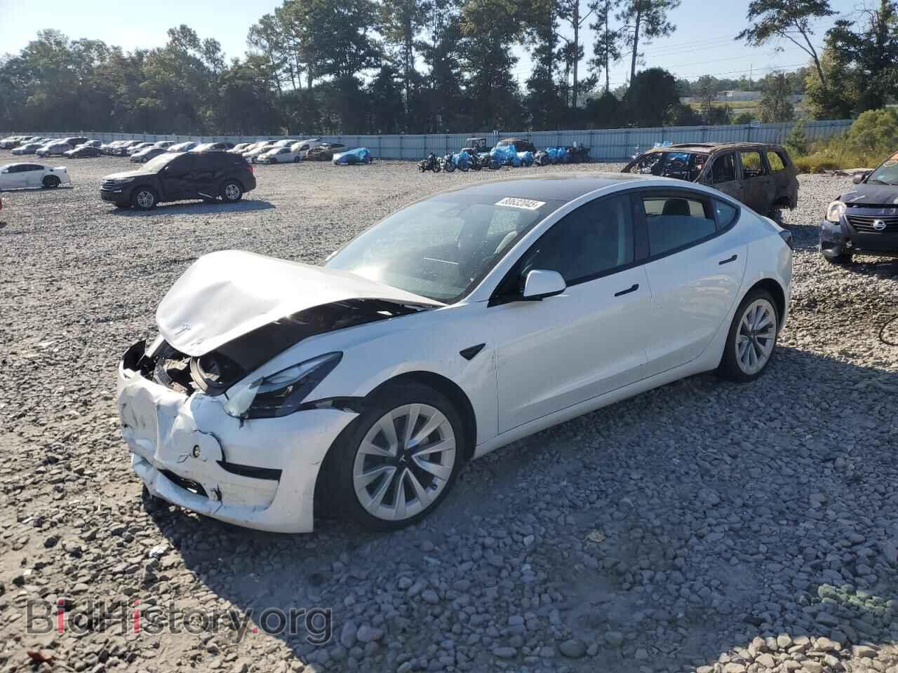 Photo 5YJ3E1EA8PF436399 - TESLA MODEL 3 2023