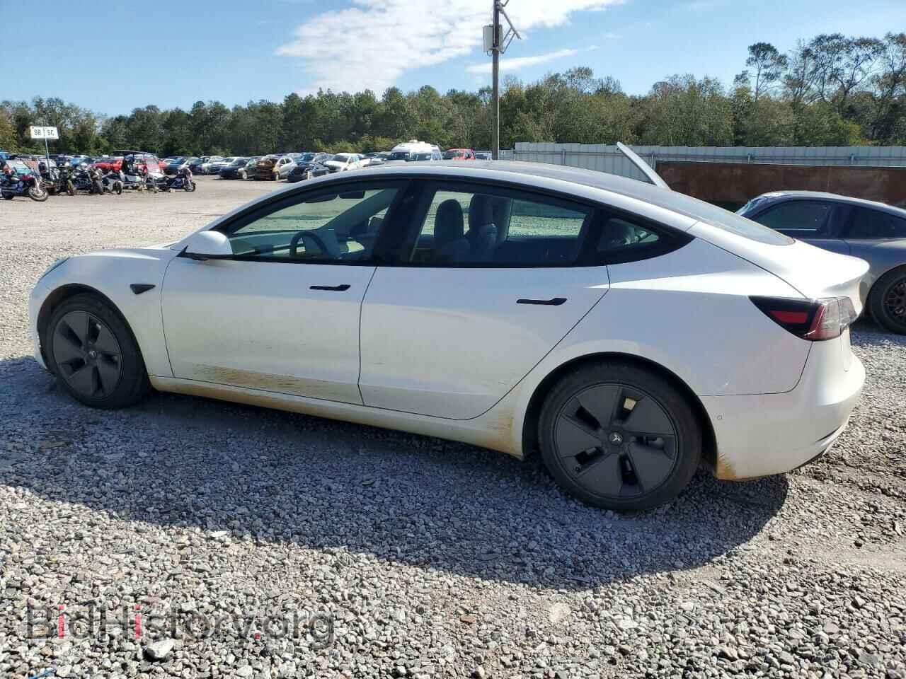 2021 TESLA MODEL 3 - VIN: 5YJ3E1EA0MF976356 - Фото 2
