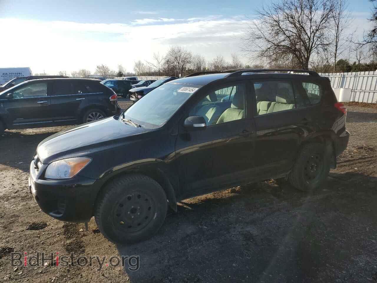 Фотография 2T3BF4DV8CW261493 - TOYOTA RAV4 2012