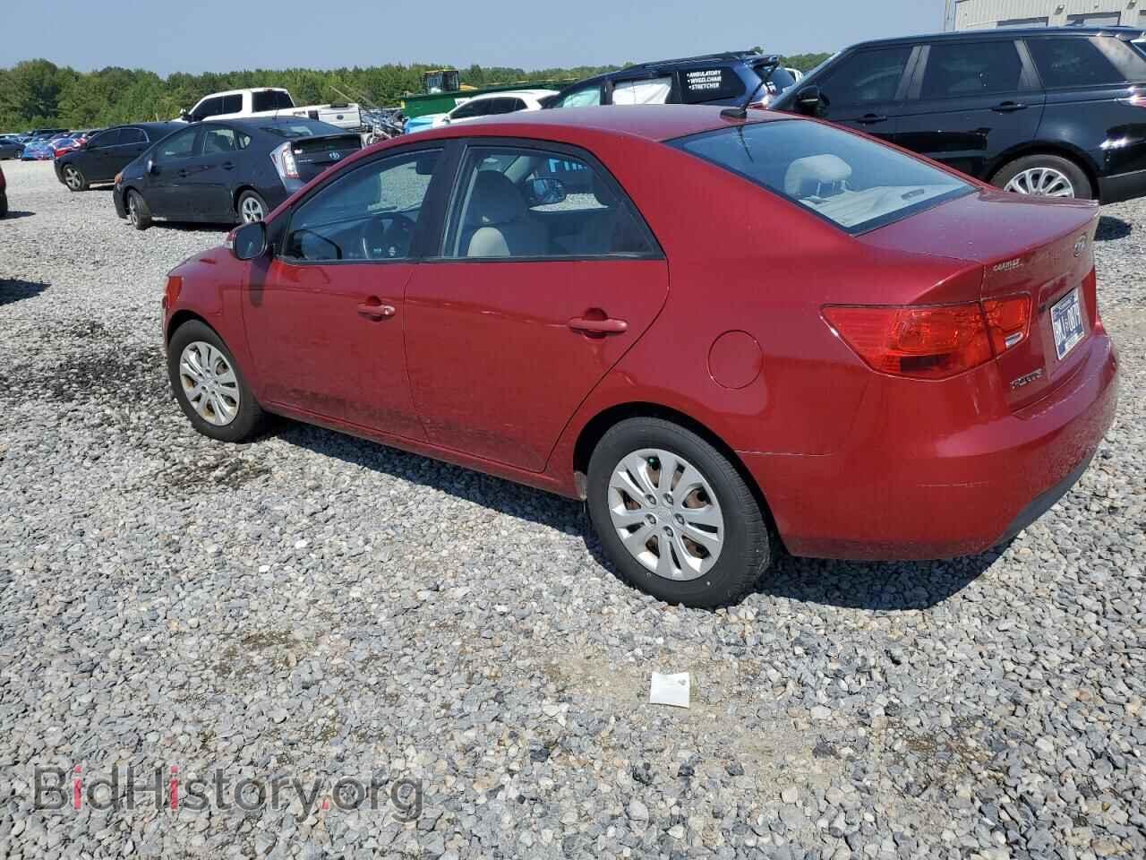 2010 KIA FORTE - VIN: KNAFU4A20A5055457 - Фото 2