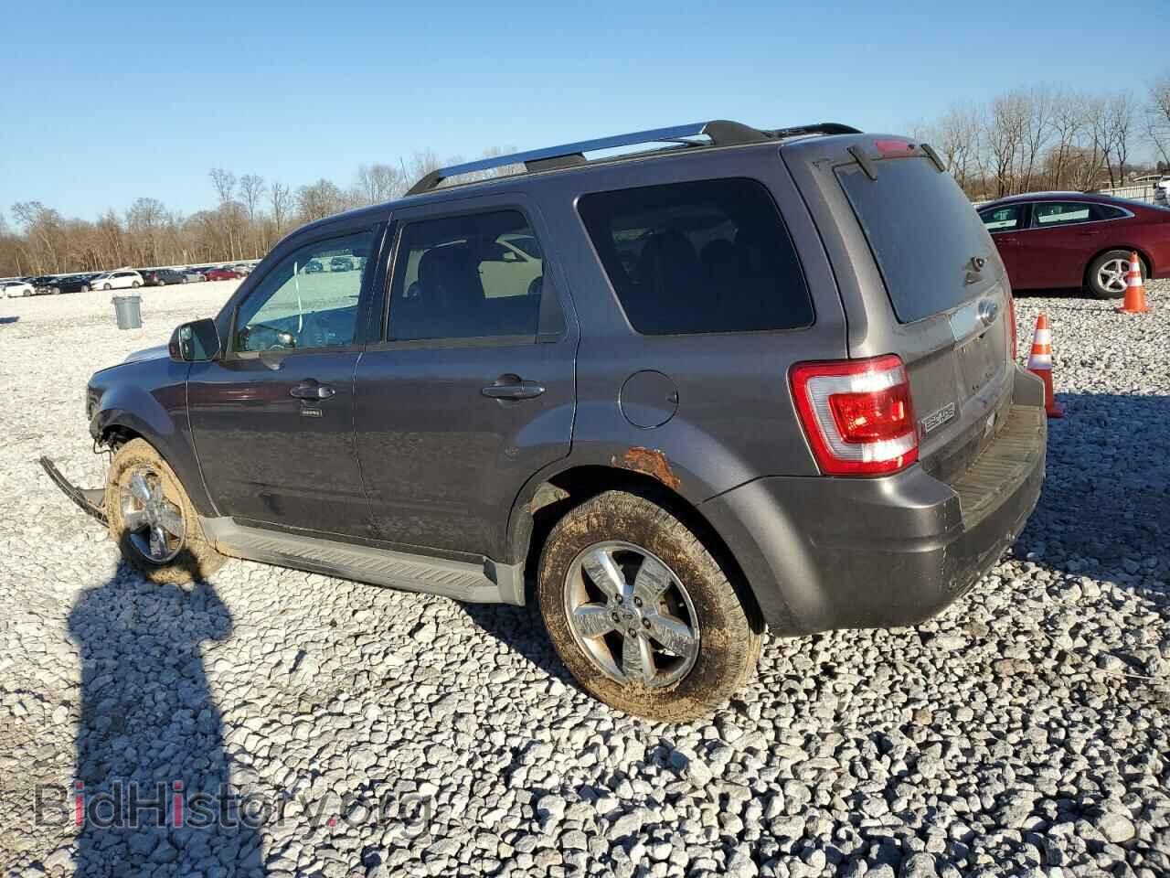 2011 FORD ESCAPE - VIN: 1FMCU9EG8BKB44765 - Фото 2