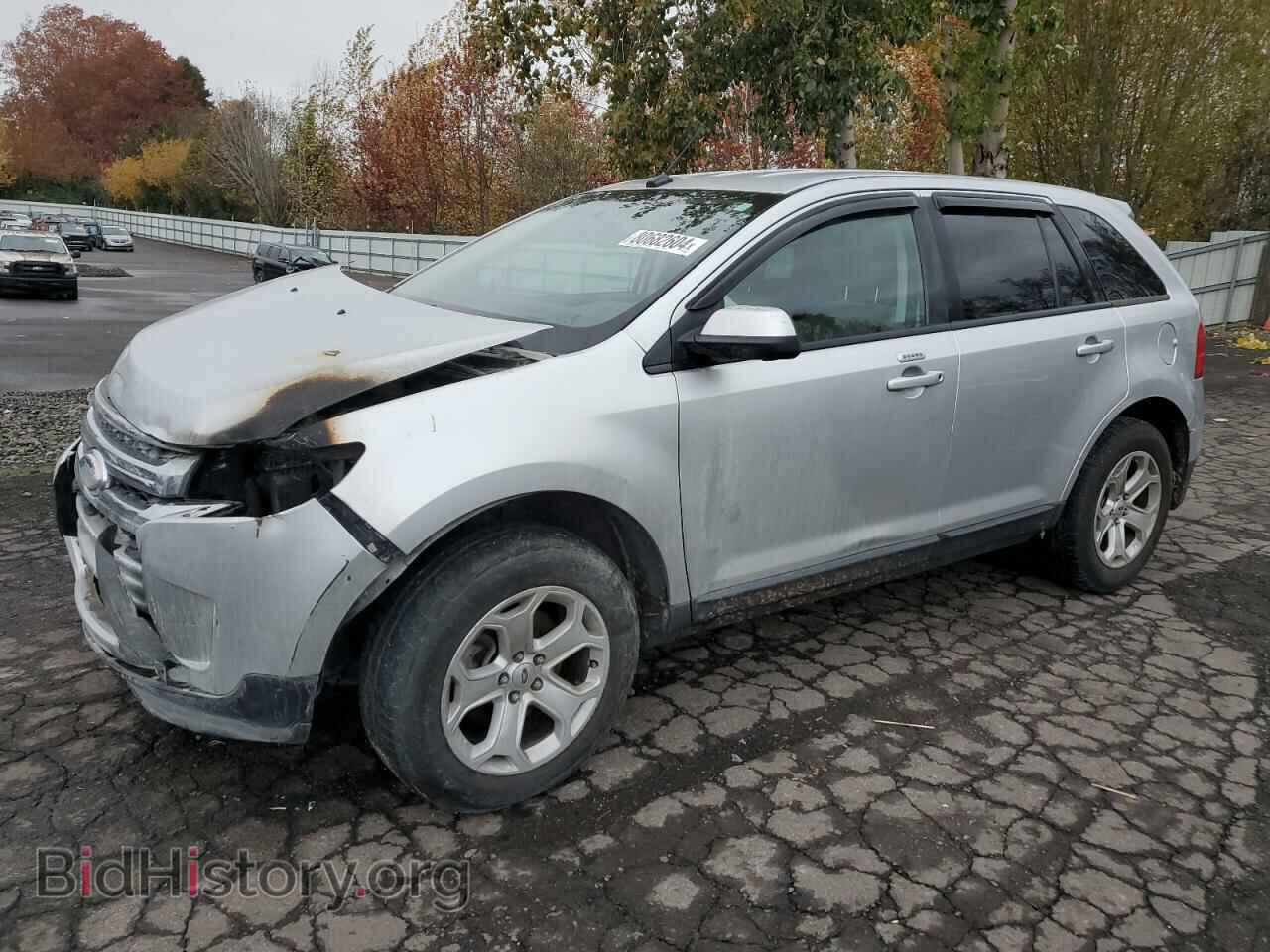 Photo 2FMDK4JC9DBB65542 - FORD EDGE 2013