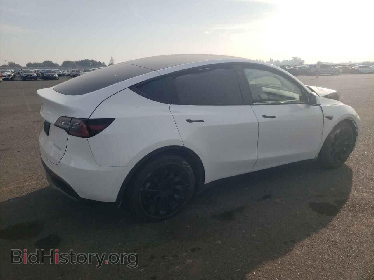 2023 TESLA MODEL Y - VIN: 7SAYGDEE4PF589420 - Фото 3
