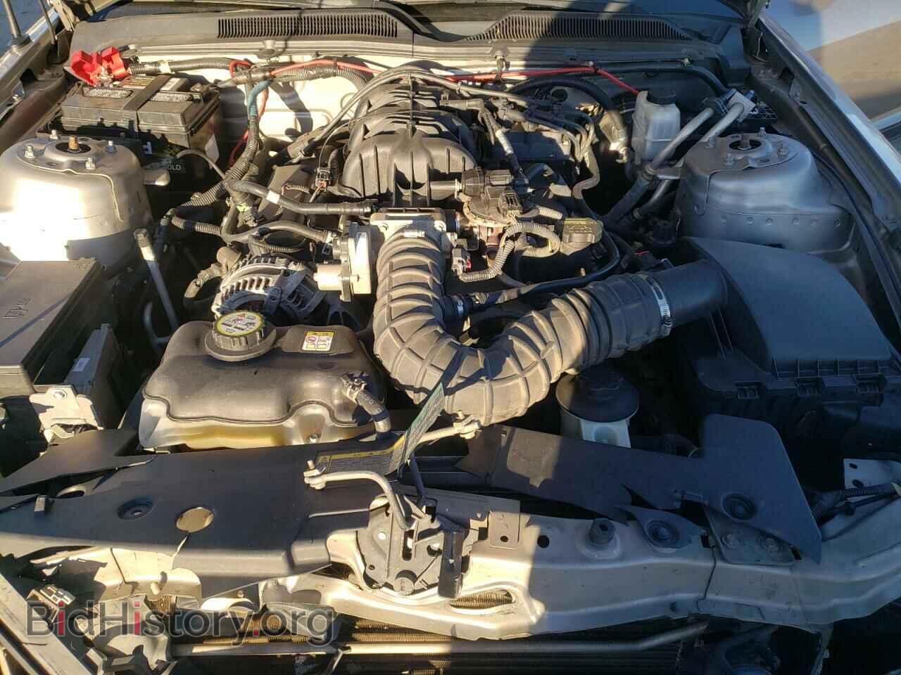 2009 FORD ALL Models - VIN: 1ZVHT80N795122341 - Фото 12