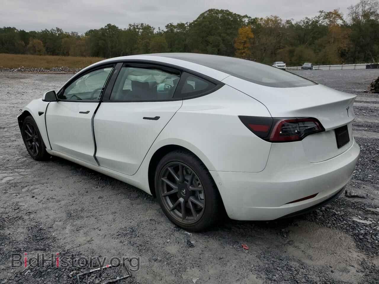 2021 TESLA MODEL 3 - VIN: 5YJ3E1EA0MF940523 - Photo 2