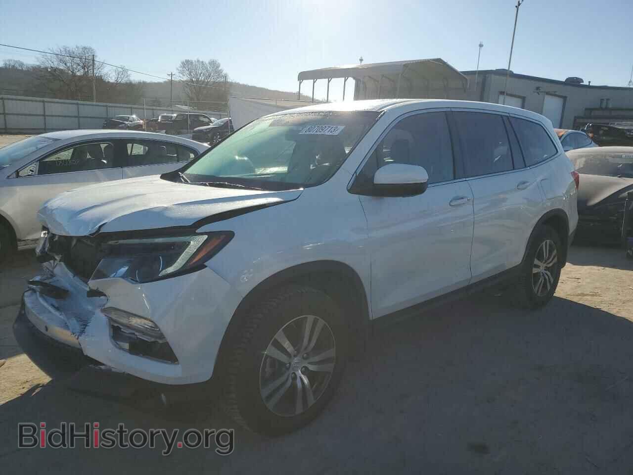 Photo 5FNYF5H53HB009562 - HONDA PILOT 2017
