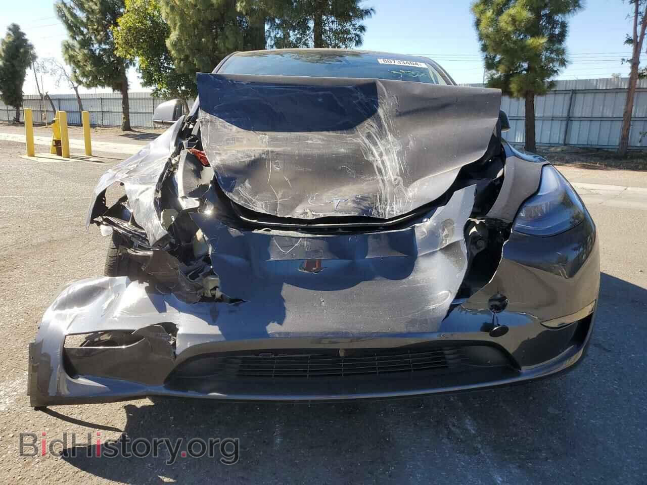 2024 TESLA MODEL Y - VIN: 7SAYGDEDXRF112890 - Photo 5