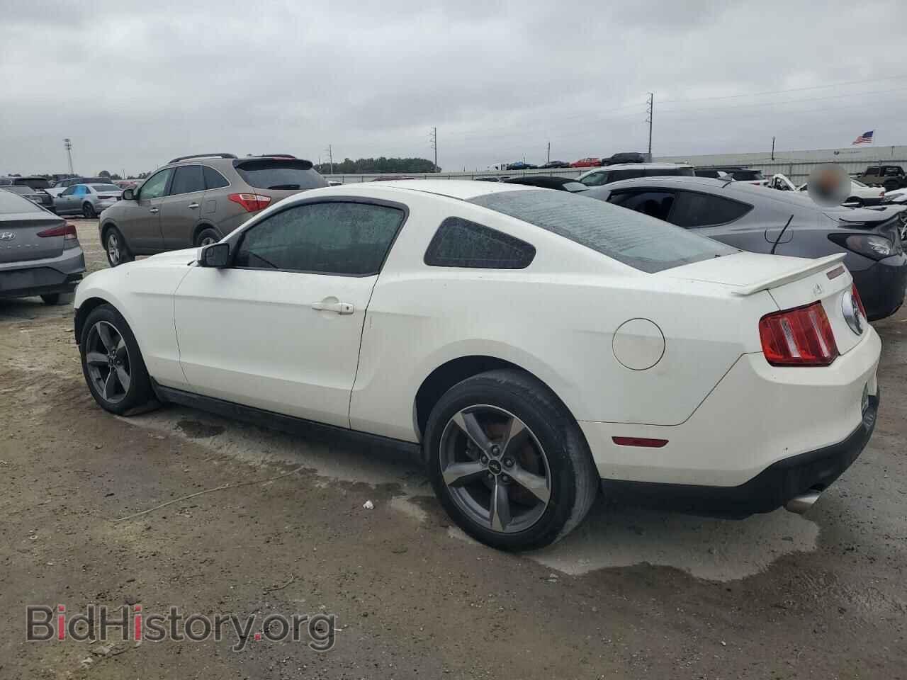 2012 FORD ALL Models - VIN: 1ZVBP8AM2C5274647 - Фото 2