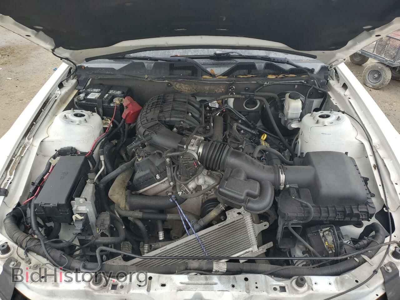 2012 FORD ALL Models - VIN: 1ZVBP8AM2C5274647 - Фото 11