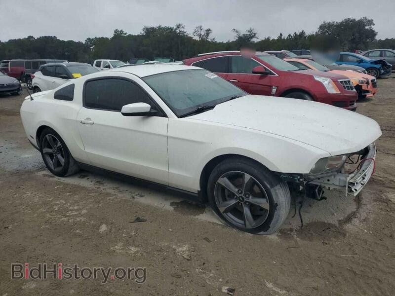2012 Ford ALL MODELS (VIN 1ZVBP8AM2C5274647) — photo 4 of 12