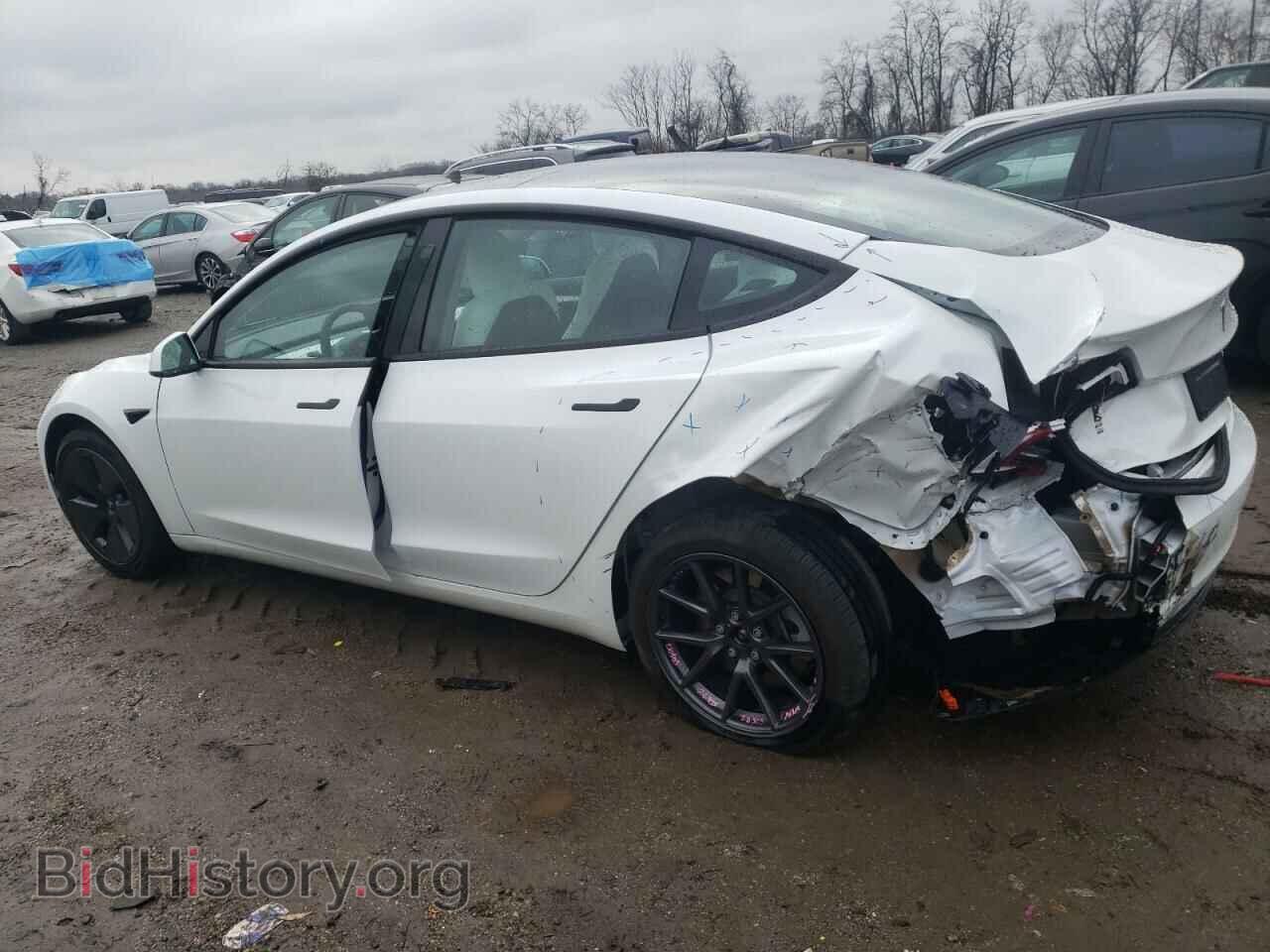 2023 TESLA MODEL 3 - VIN: 5YJ3E1EA8PF569437 - Фото 2