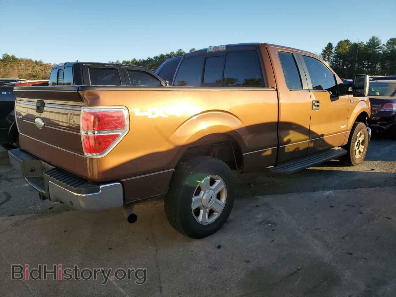 2011 FORD F-150 - VIN: 1FTFX1ET1BFC99402 - Фото 3