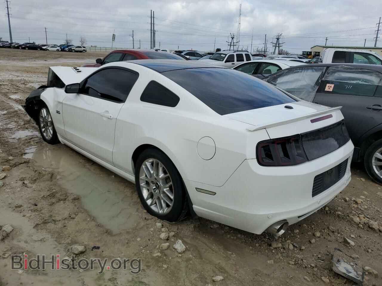 2013 FORD MUSTANG - VIN: 1ZVBP8CF3D5278772 - Фото 2