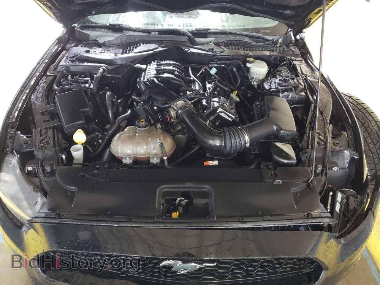 2017 FORD ALL Models - VIN: 1FA6P8AM7H5329529 - Photo 11