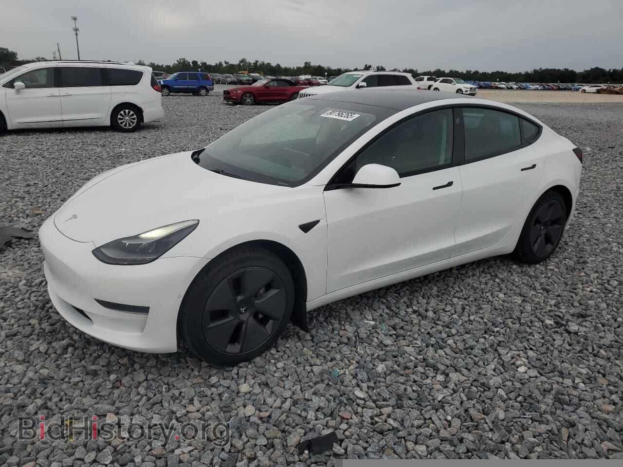 Photo 5YJ3E1EA8MF045491 - TESLA MODEL 3 2021