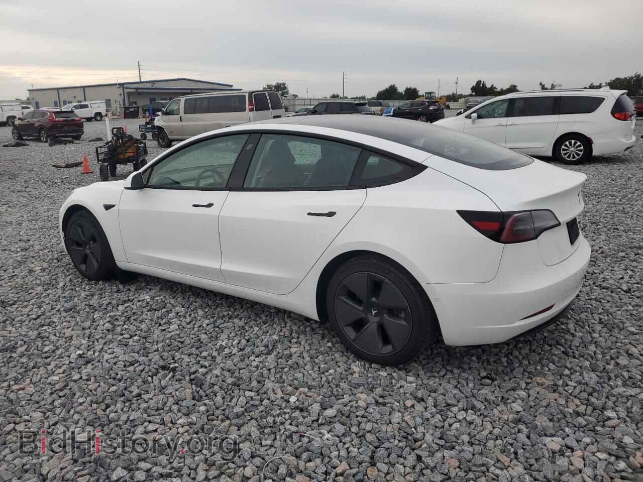 2021 TESLA MODEL 3 - VIN: 5YJ3E1EA8MF045491 - Photo 2
