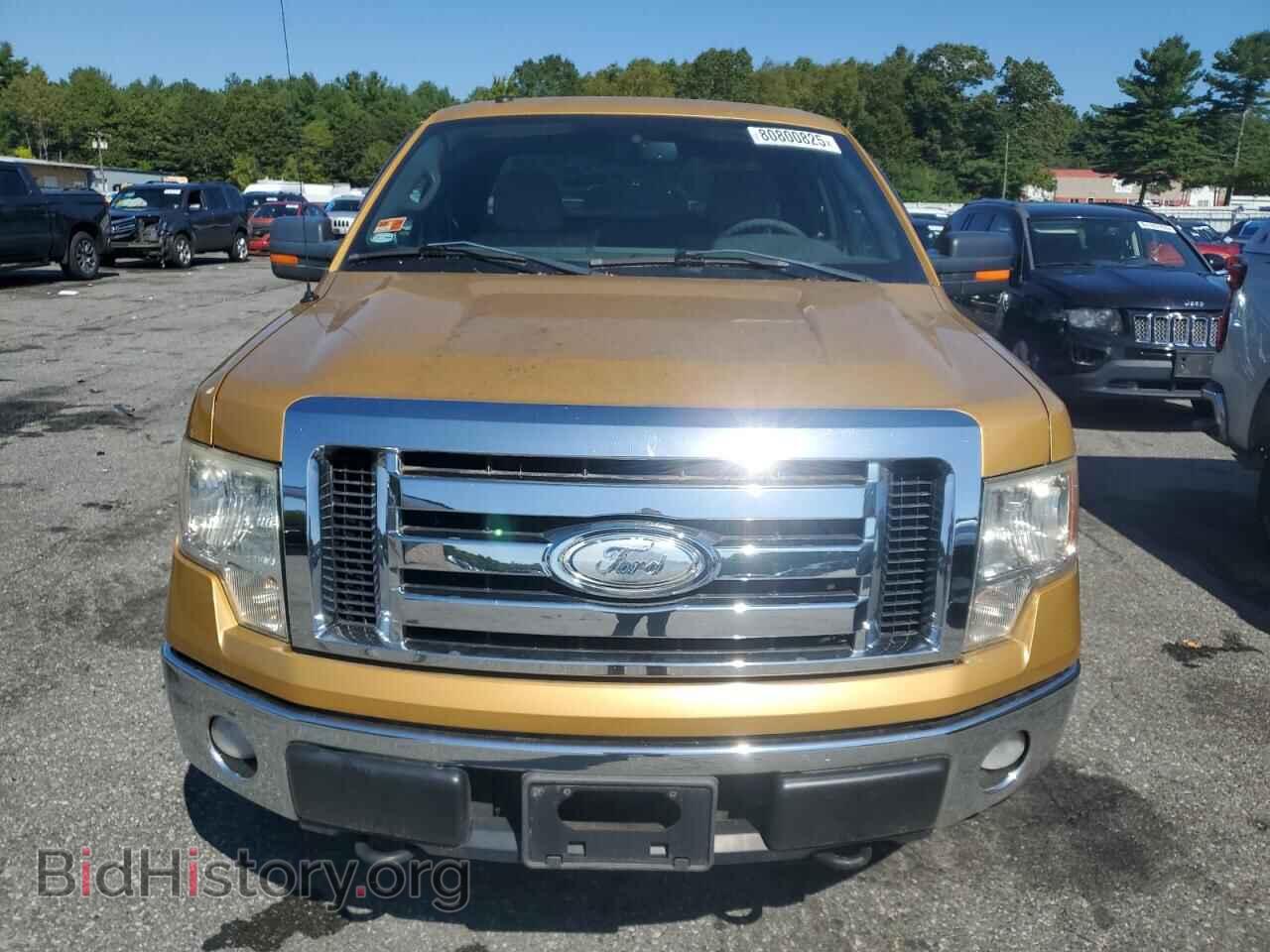 2009 FORD F-150 - VIN: 1FTPX14V59KB12607 - Фото 5